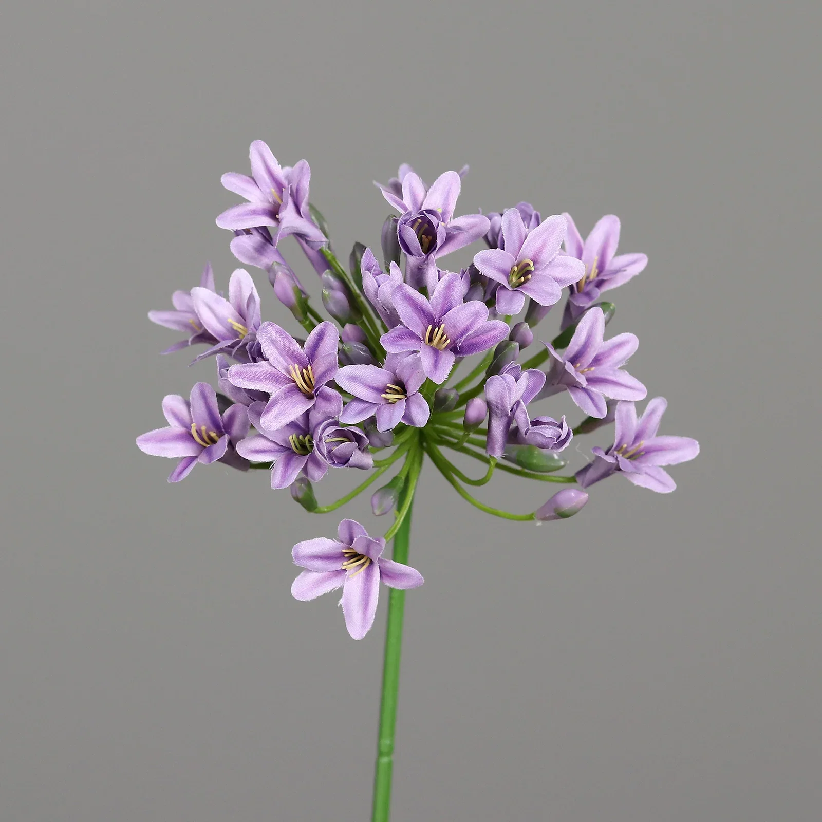 Allium snitt kunstig
