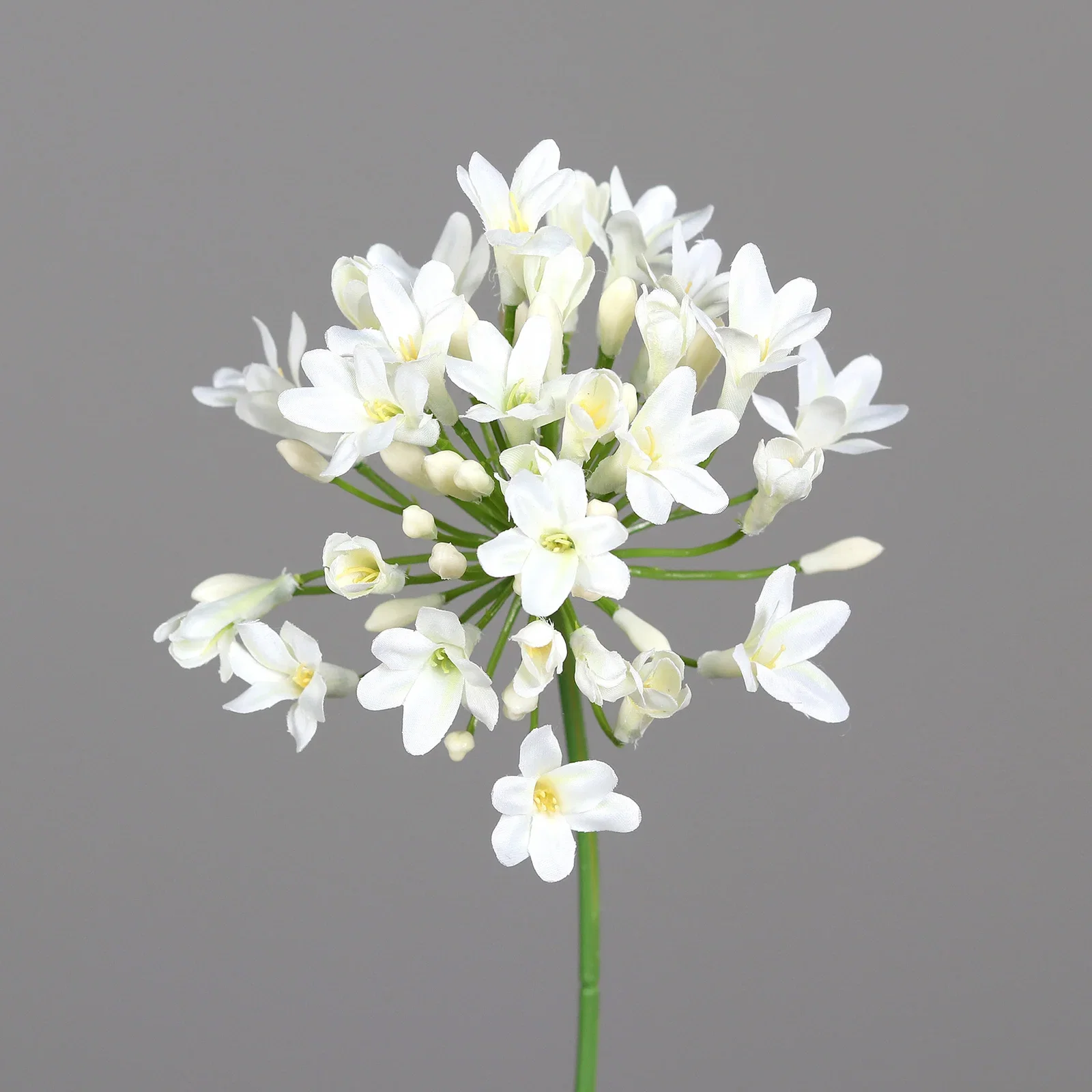 Allium snitt kunstig