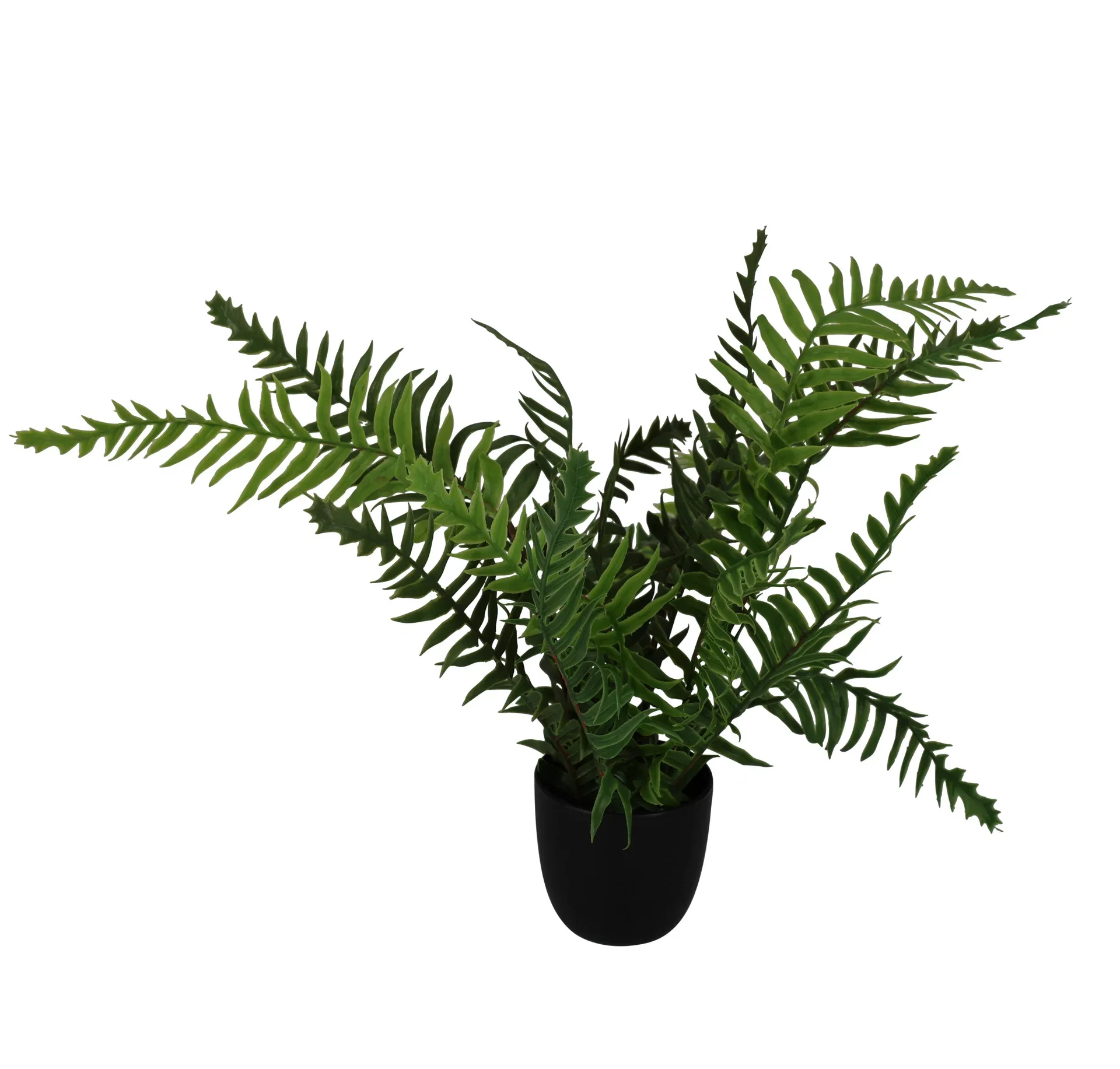 Bregne i potte kunstig