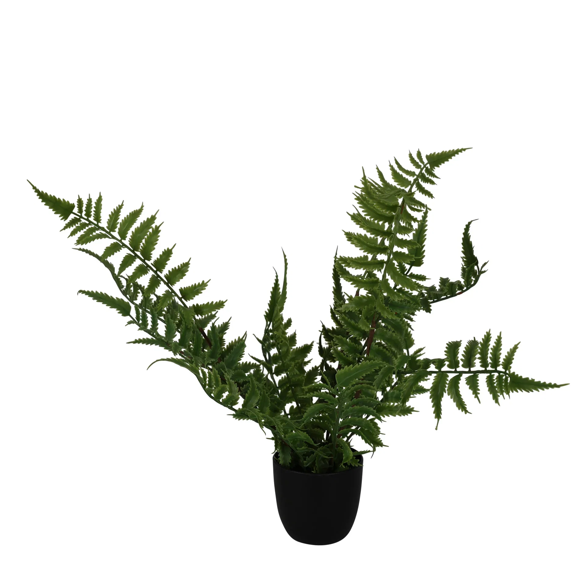 Bregne i potte kunstig