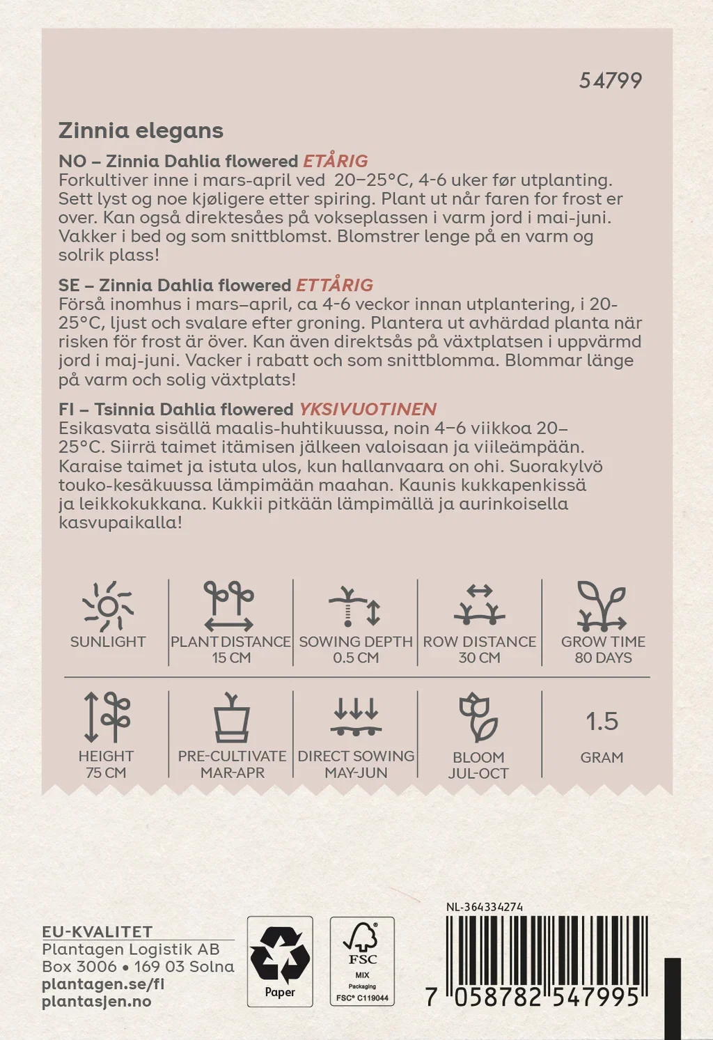 Zinnia 'Dahlia Flowered'