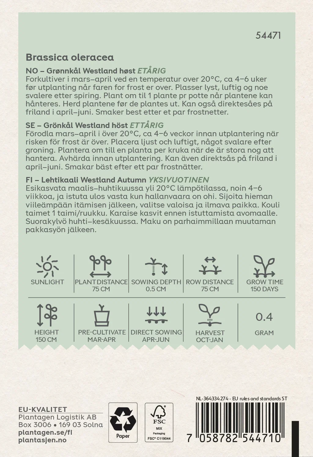 Grønnkål 'Westland Autumn'