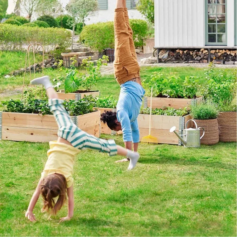 Creating a kitchen garden – how to succeed