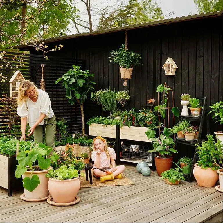 Creating a kitchen garden – how to succeed