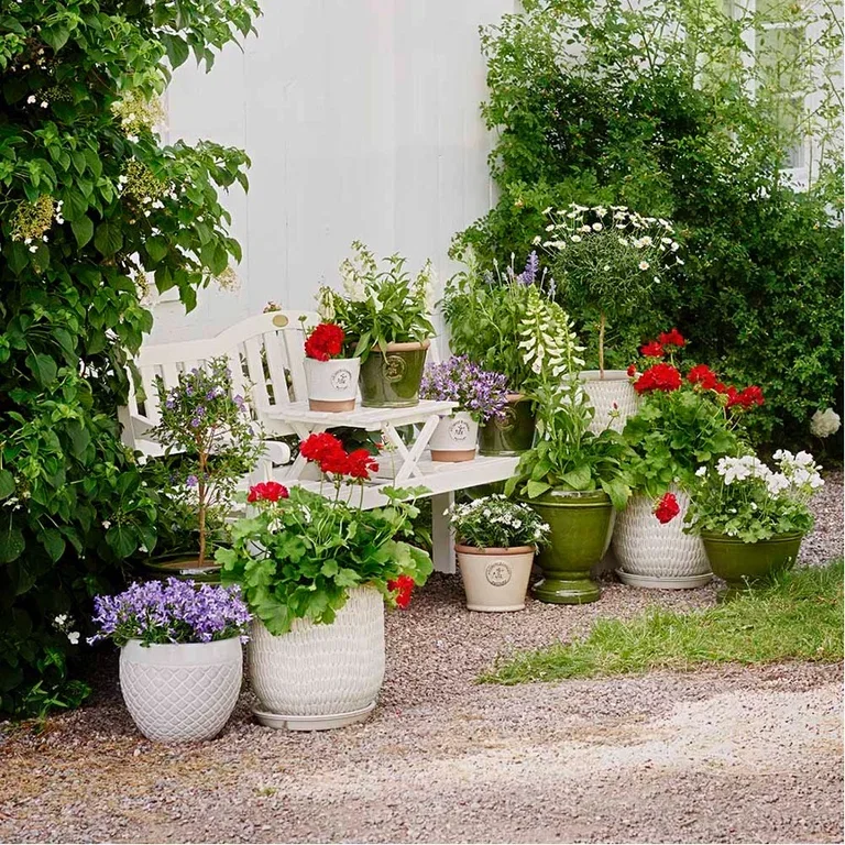 Plant a garden in pots