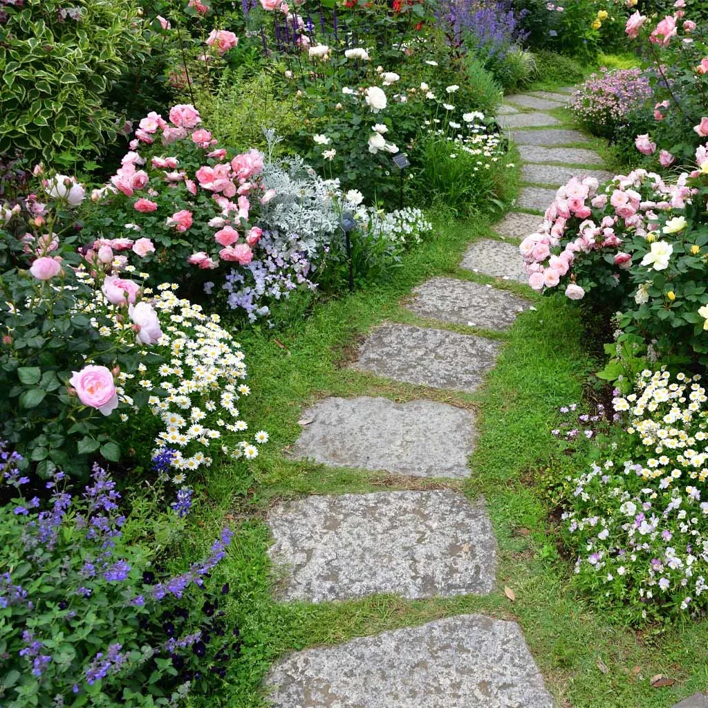 ROMANTISK HAGE – duftende, viltvoksende og blomstrende