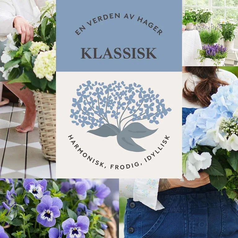 KLASSISK HAGE - harmonisk, frodig og idyllisk