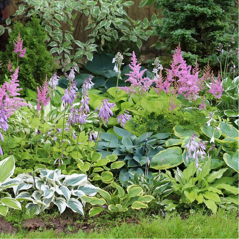 Blomsterbed – fire ferdigkomponerte bed med planteforslag 