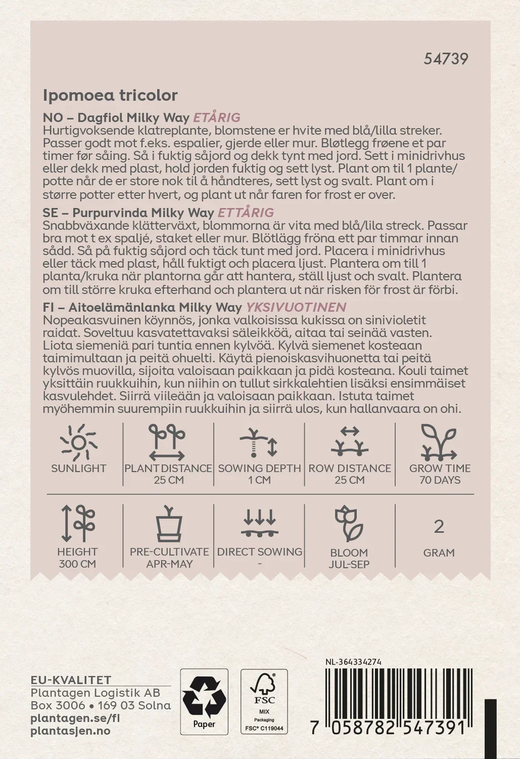 Praktvindel Morning Glory 'Milky Way'