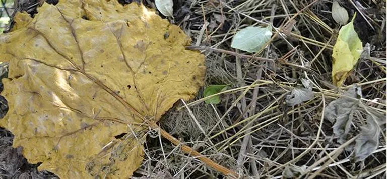 Improve hard clay and nutrient-poor soil.