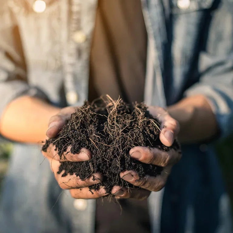 This is how you succeed with composting