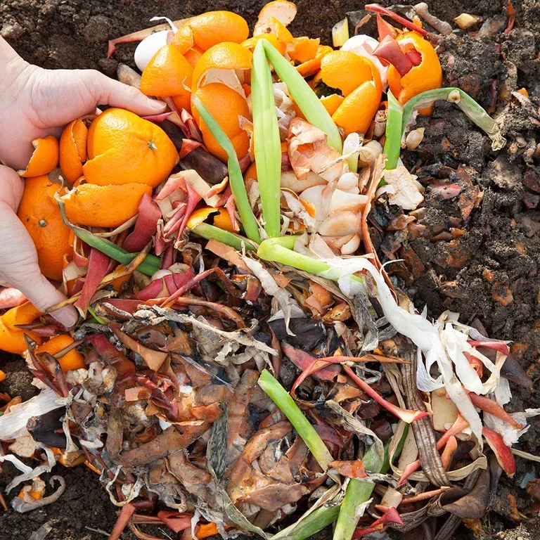 This is how you succeed with composting