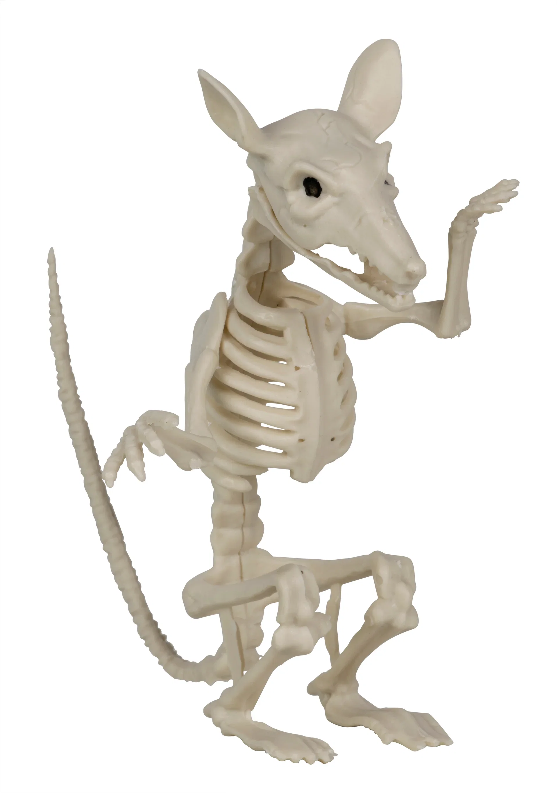 Halloweendekorasjon skjelettrotte