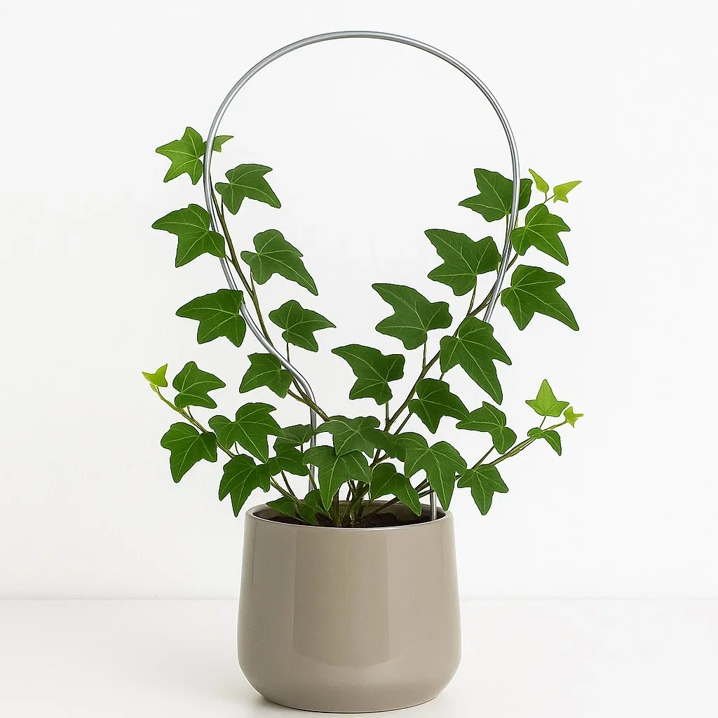 Espalier for potte