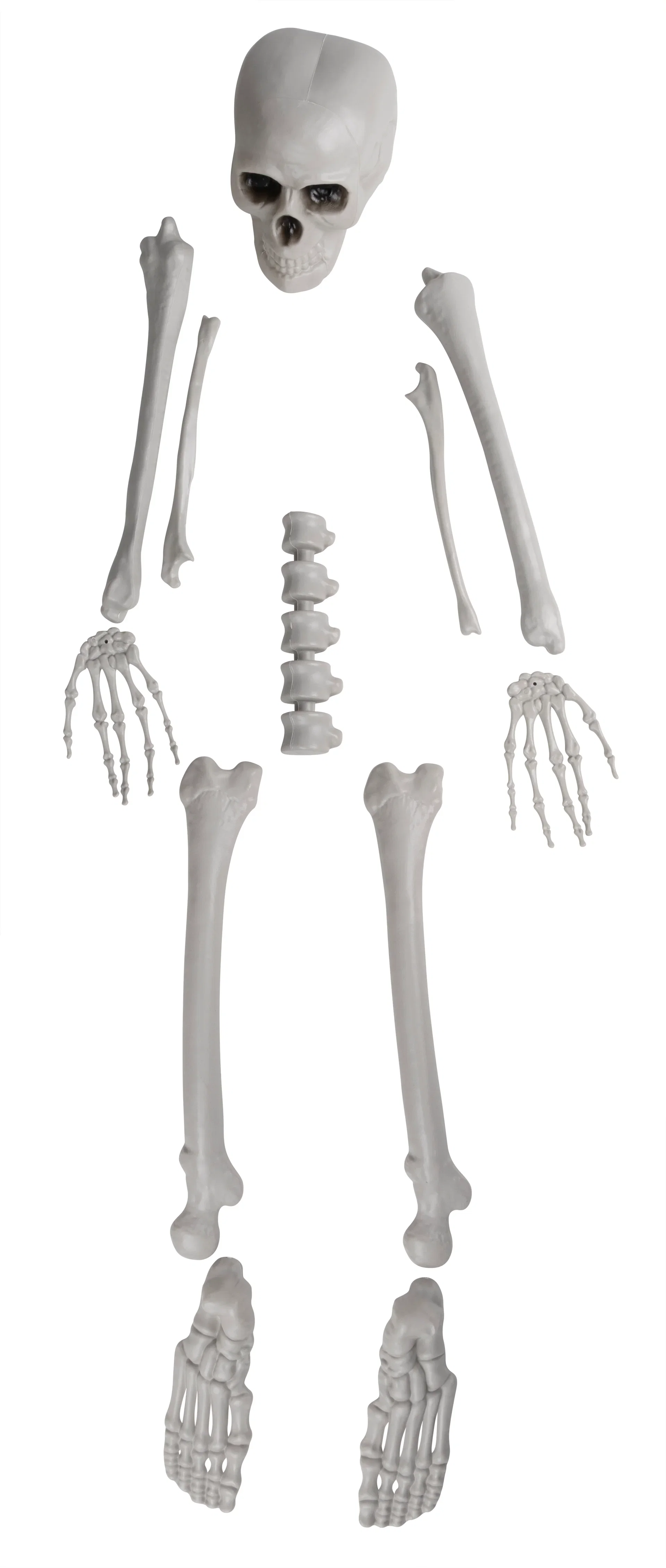 Halloweendekorasjon skjelett-deler