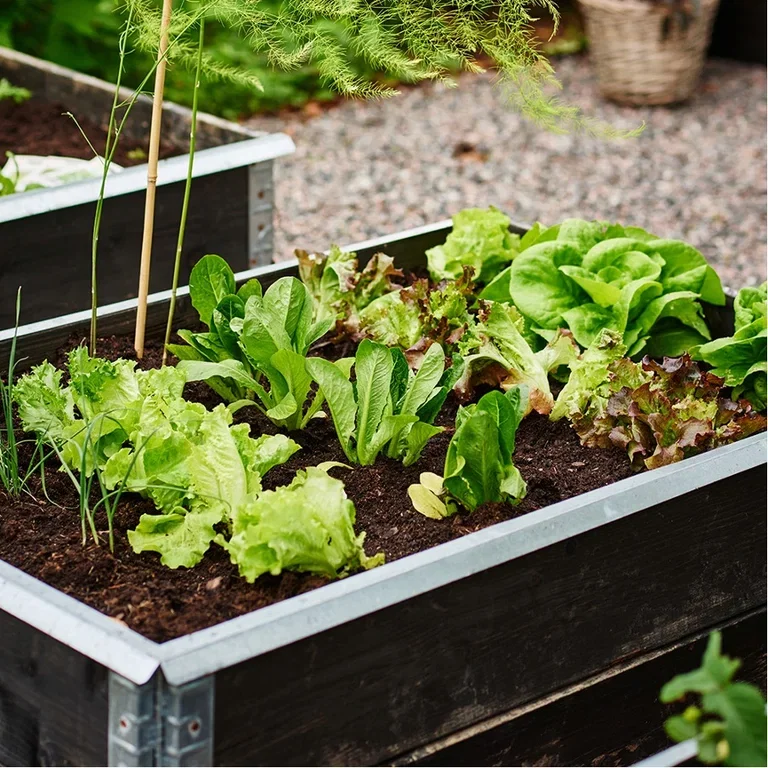 Hvor mange planter får du plass til i en plantekasse? 