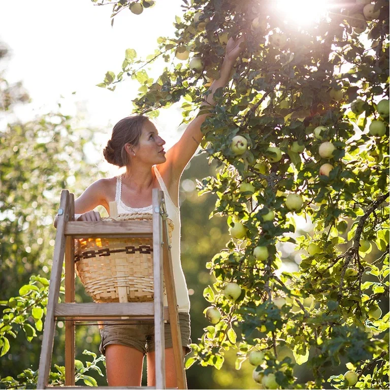 Get started with emergency gardening