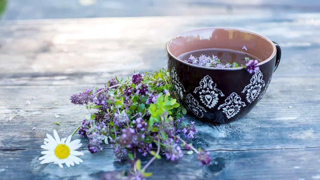 Grow your own tea - 6 plants for your teacup