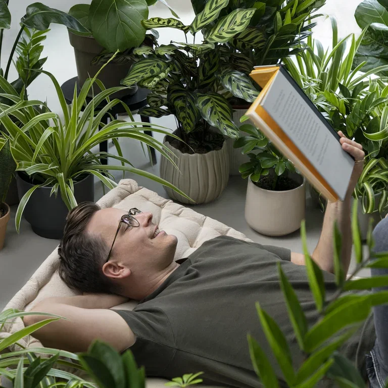 Lettstelte planter 