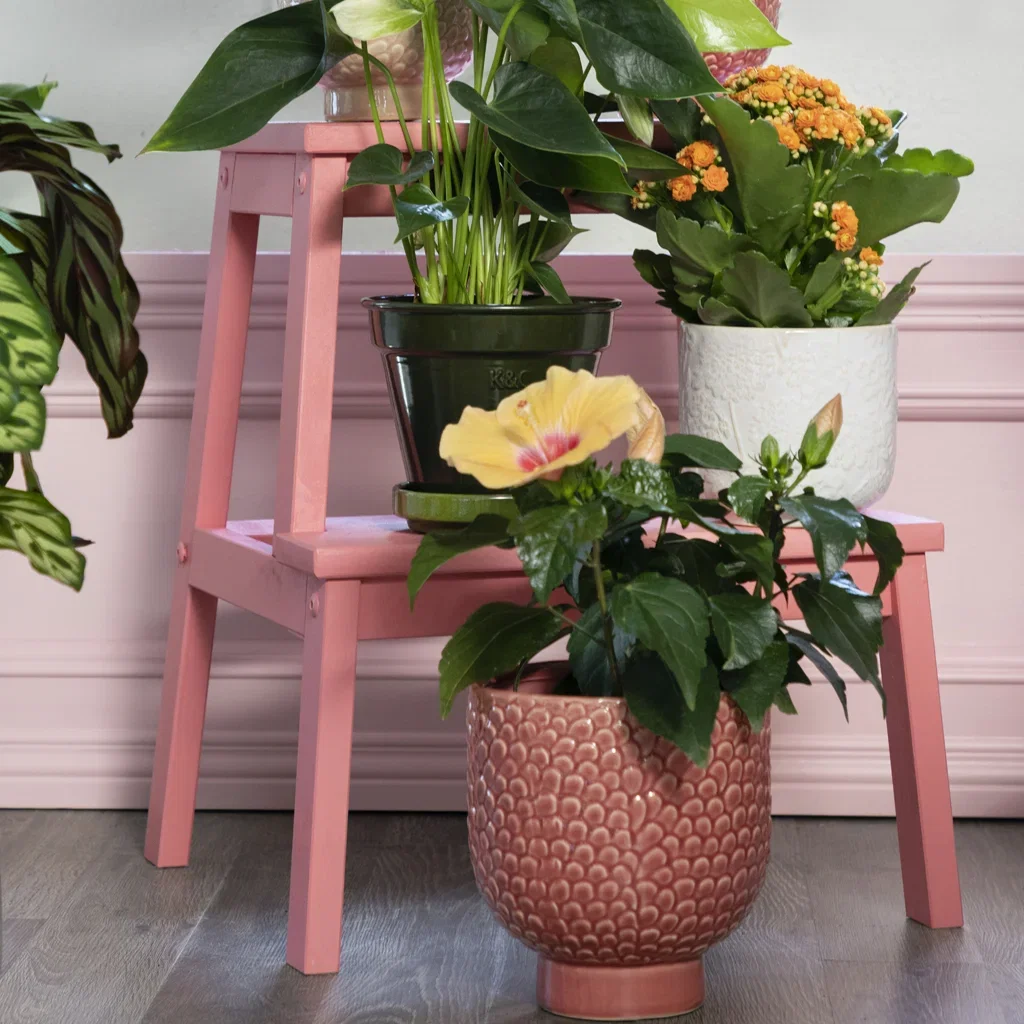 Innred med blomstrende planter innendørs