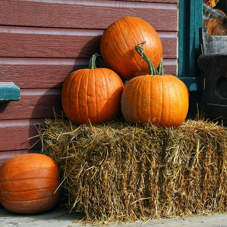 Pynt inngangspartiet til Halloween – skummel stemning på enkelt vis 