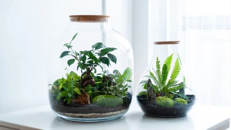 Fathers Day - green gift ideas for dad