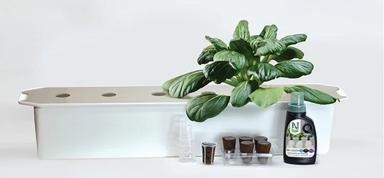 Fathers Day - green gift ideas for dad