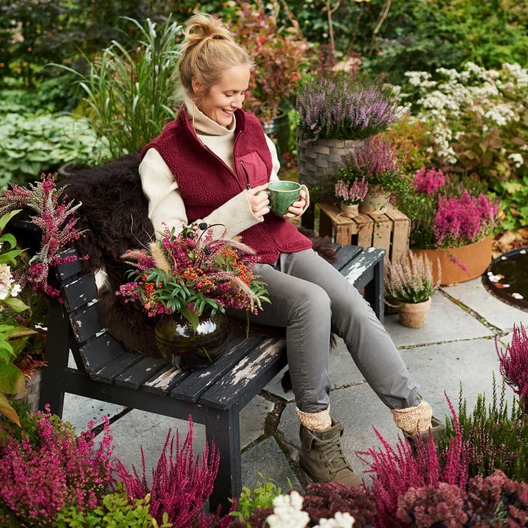 Lyng – planting og stell