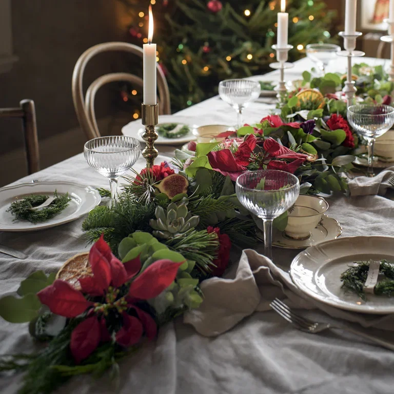 Christmas star - facts and advice on care