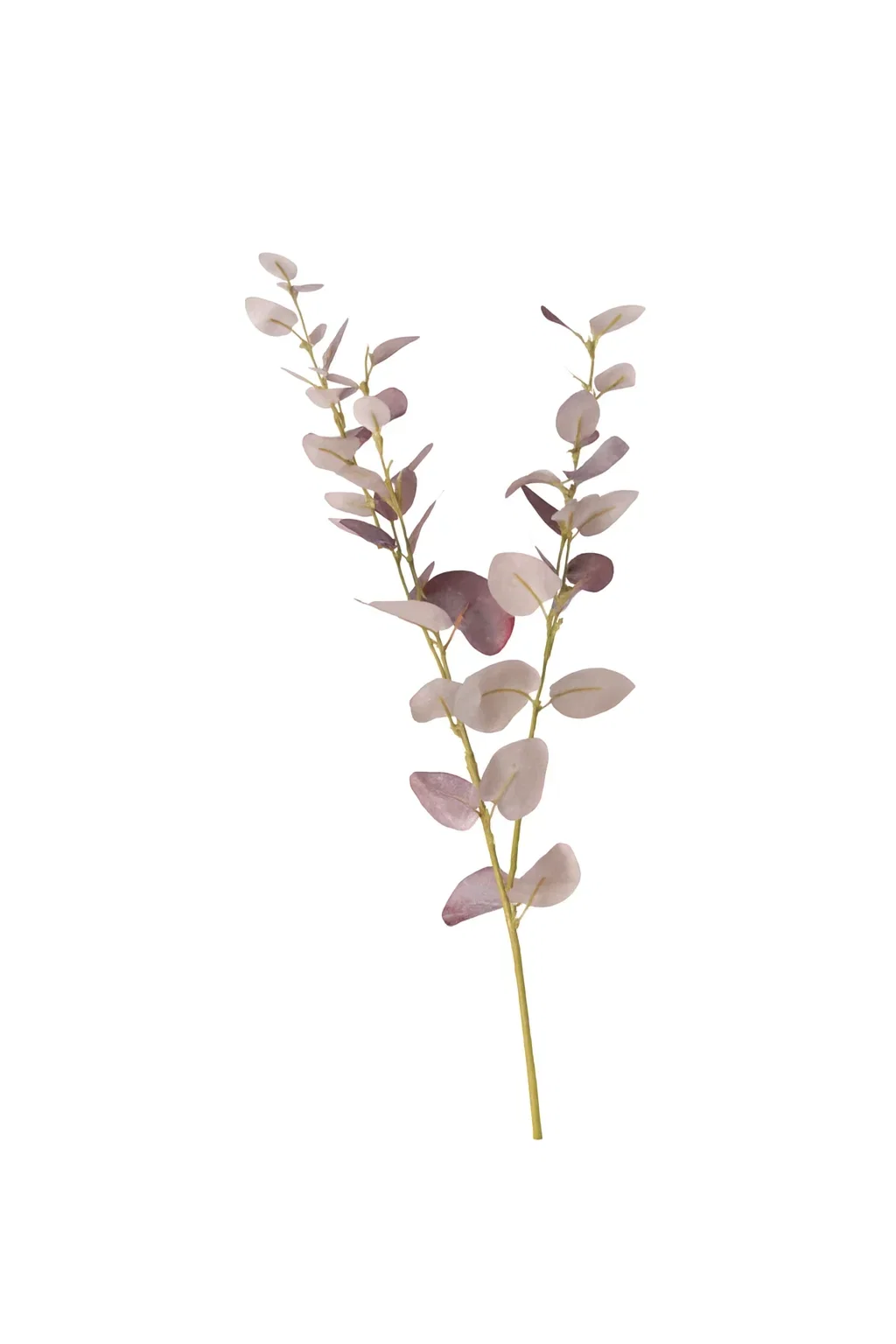 Eucalyptus branch H76 burgundy