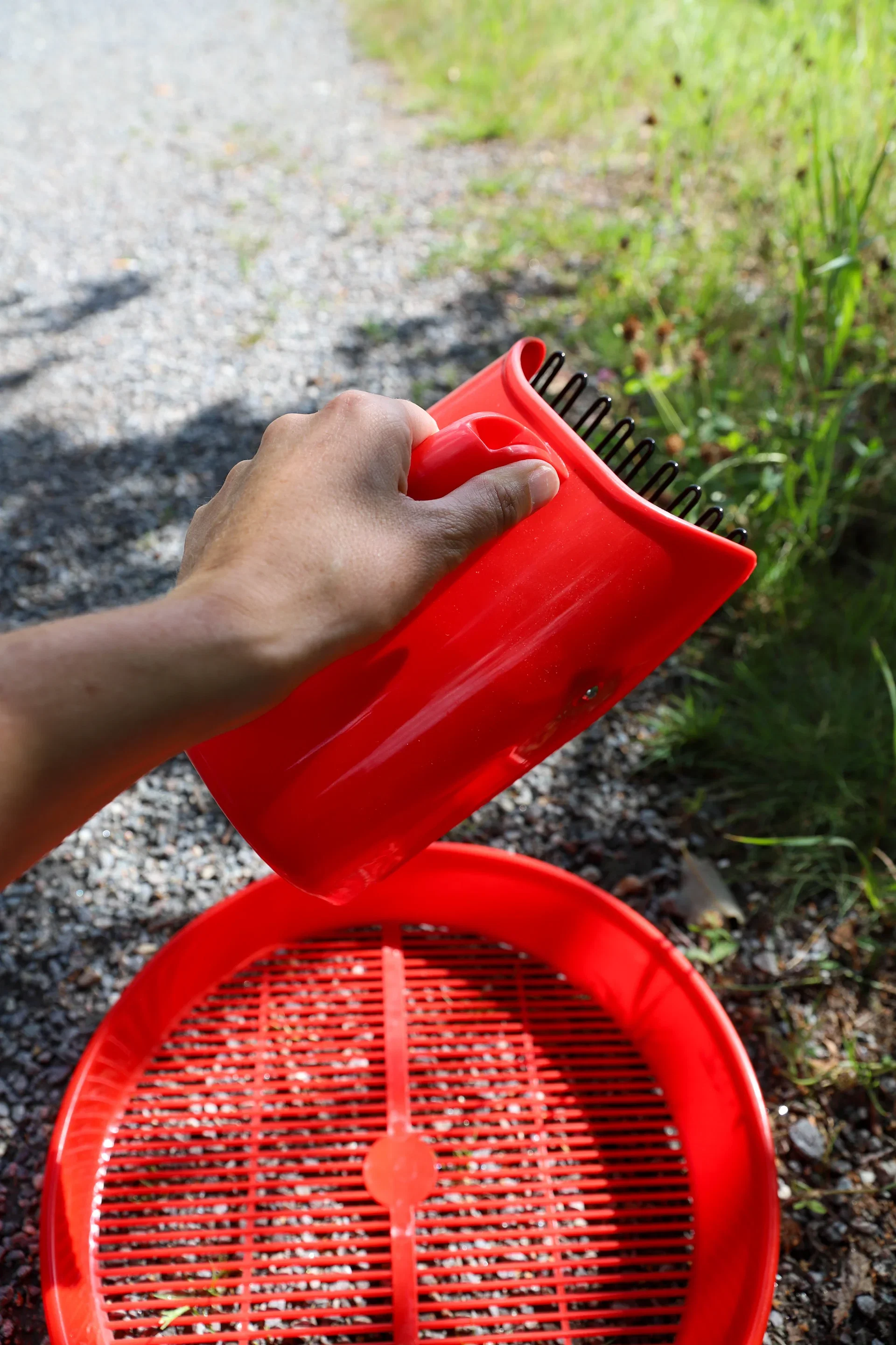 Berry Picker