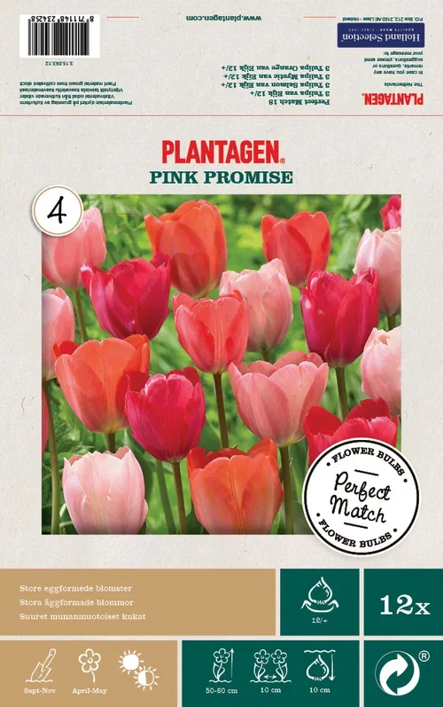 Tulipanmiks Pink Promise - 12 stk