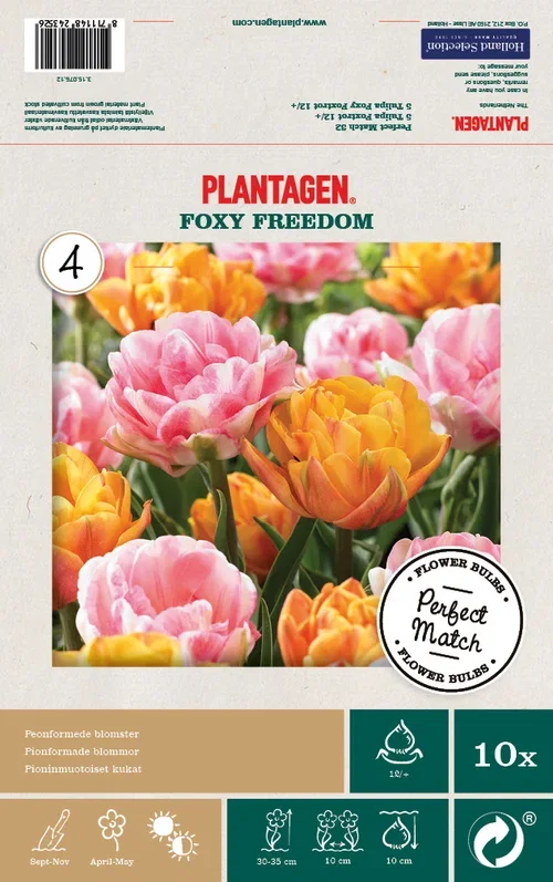 Tulipanmiks Foxy Freedom - 10 stk