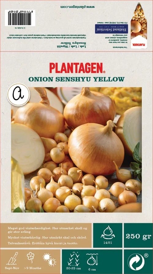 Løk 'Senshyu Yellow' - 250g