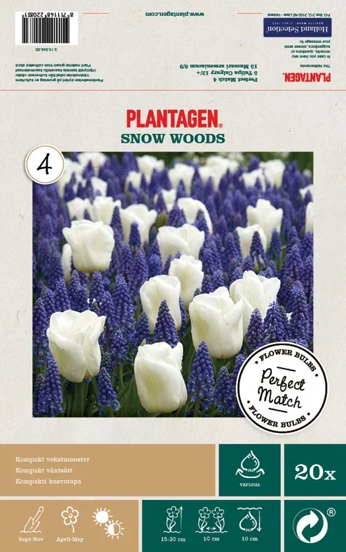 Høstløk miks Snow Woods - 20 stk