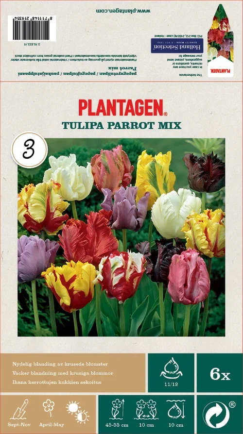 Papegøyetulipan miks - 6 stk
