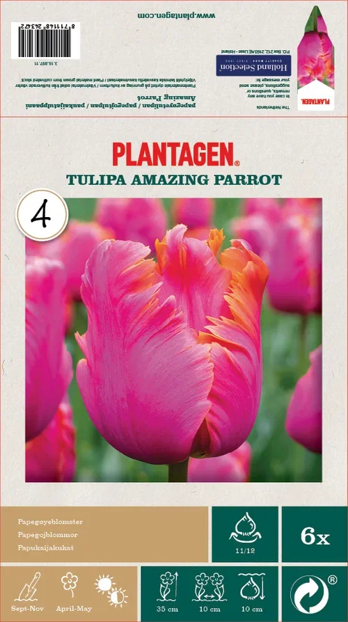 Papegøyetulipan 'Amazing Parrot' - 6 stk