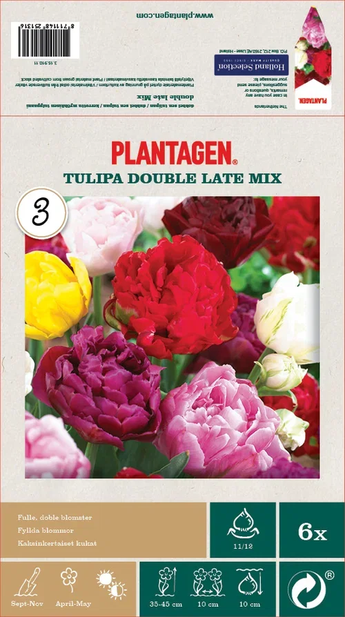 Tulipa Double Late Mix - 6 bulbs