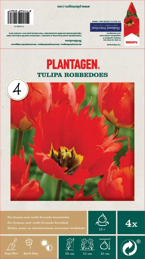 Tulipa Darwin Hybrid Robbedoes - 4 stk