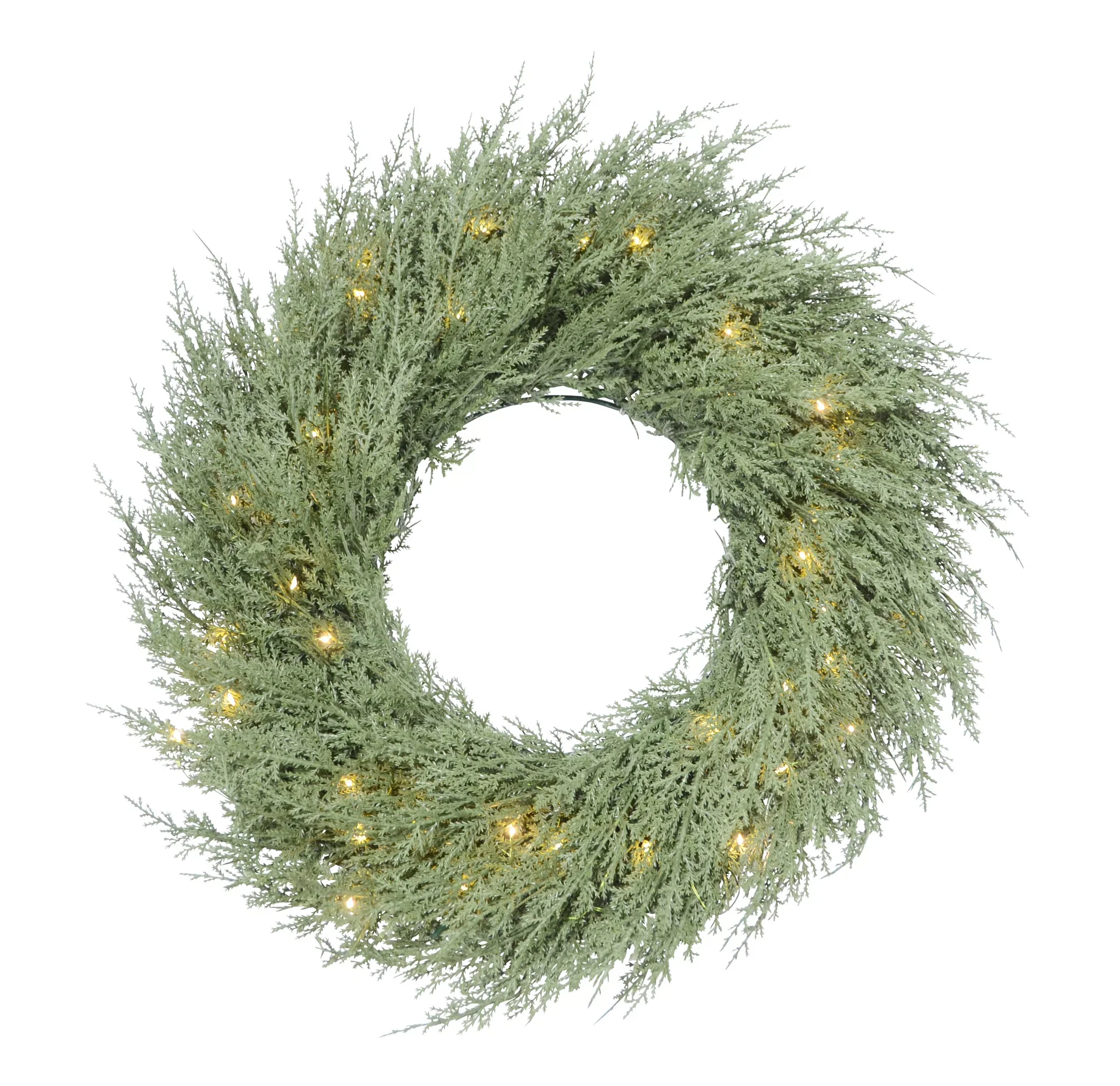 Wreath Thuja