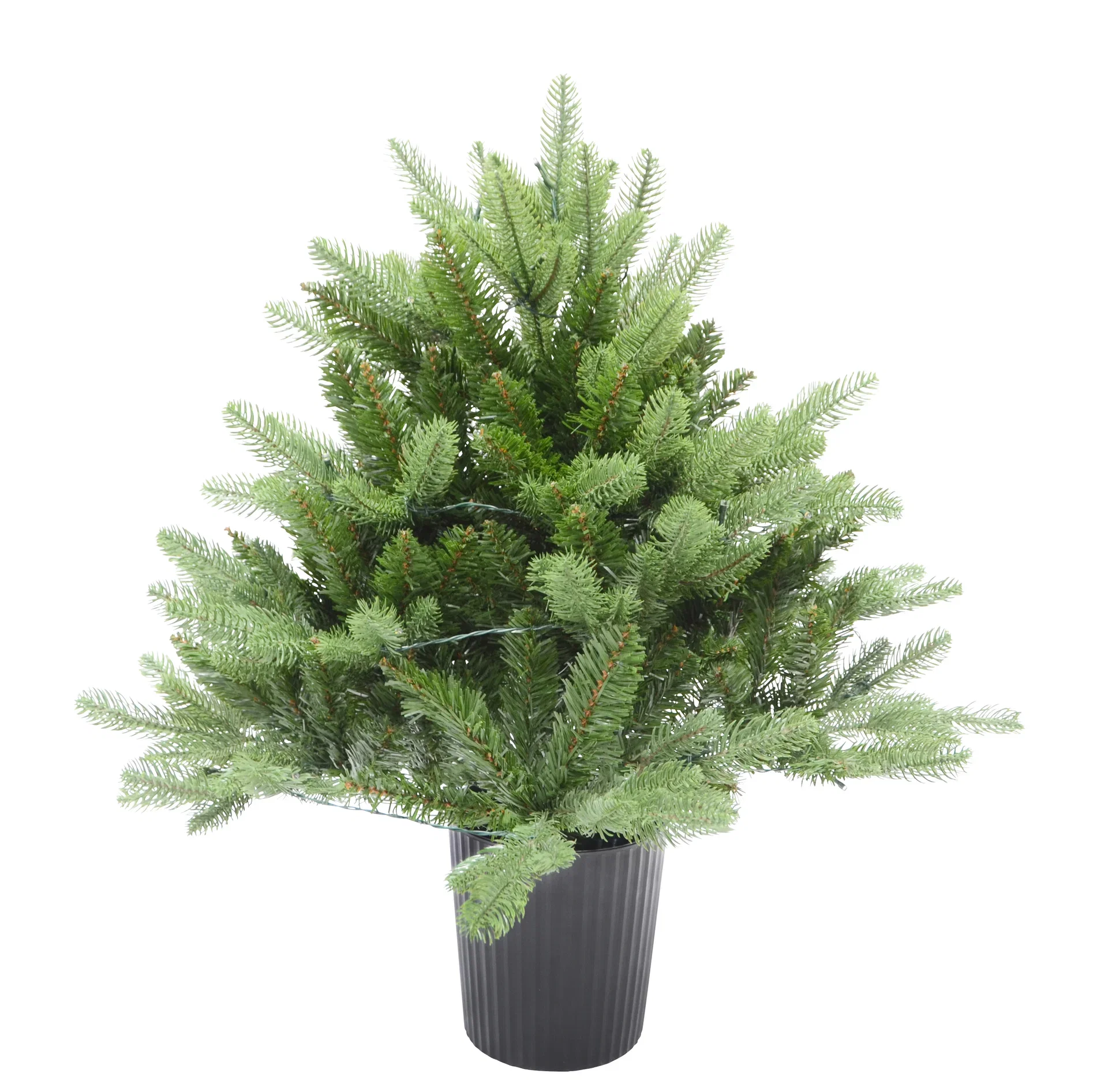 Christmas Tree with Lights