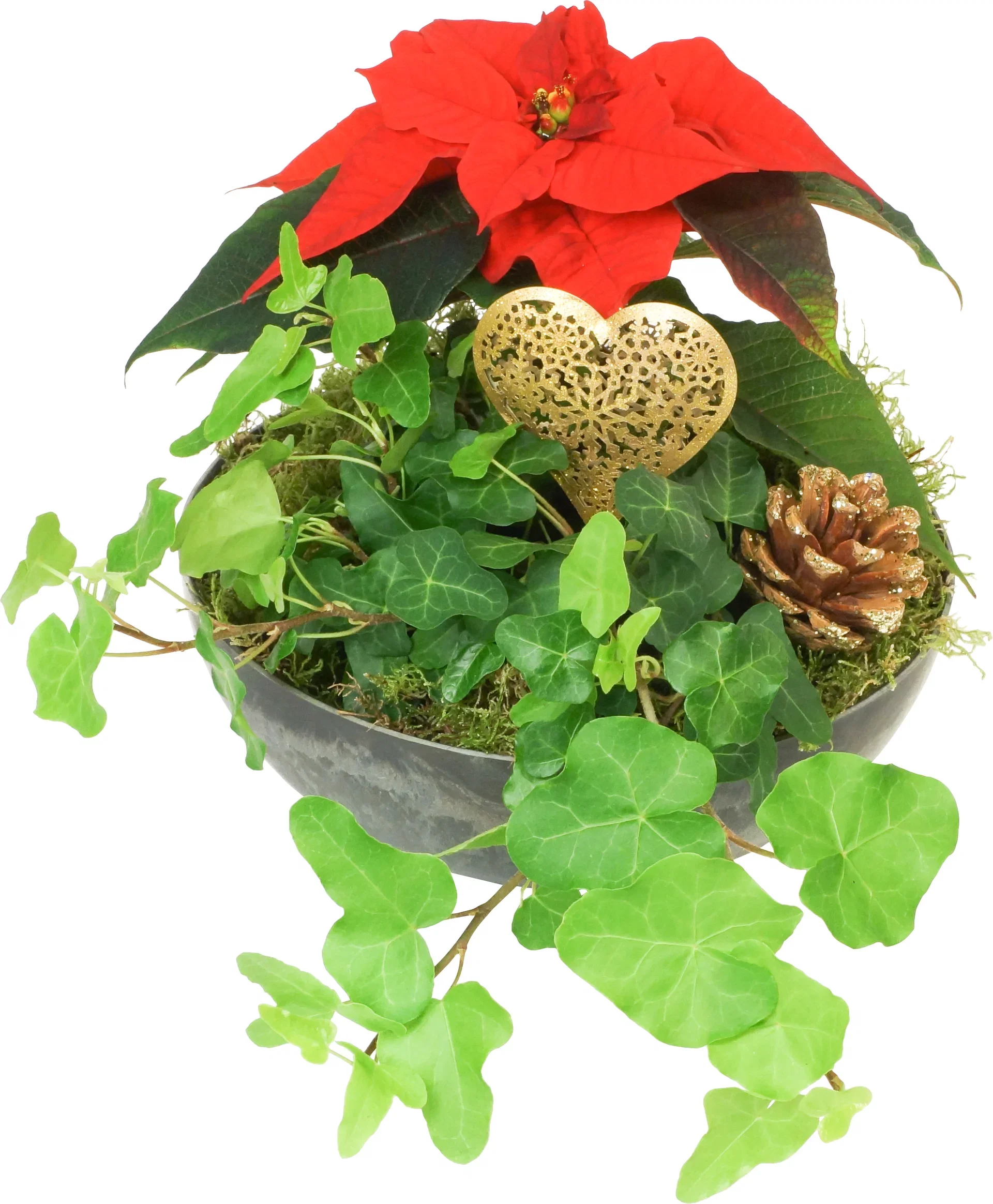 Liten julegruppe rød