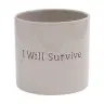 Potte I Will Survive