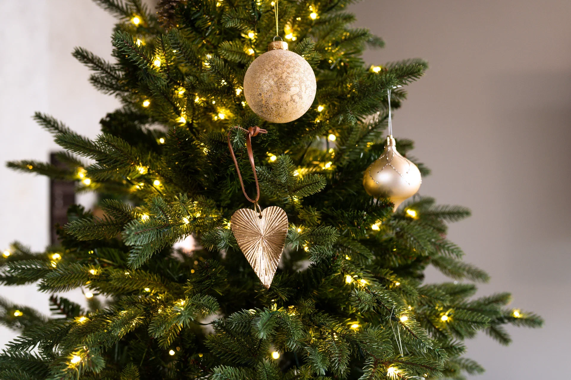 Julekuler Evangeline