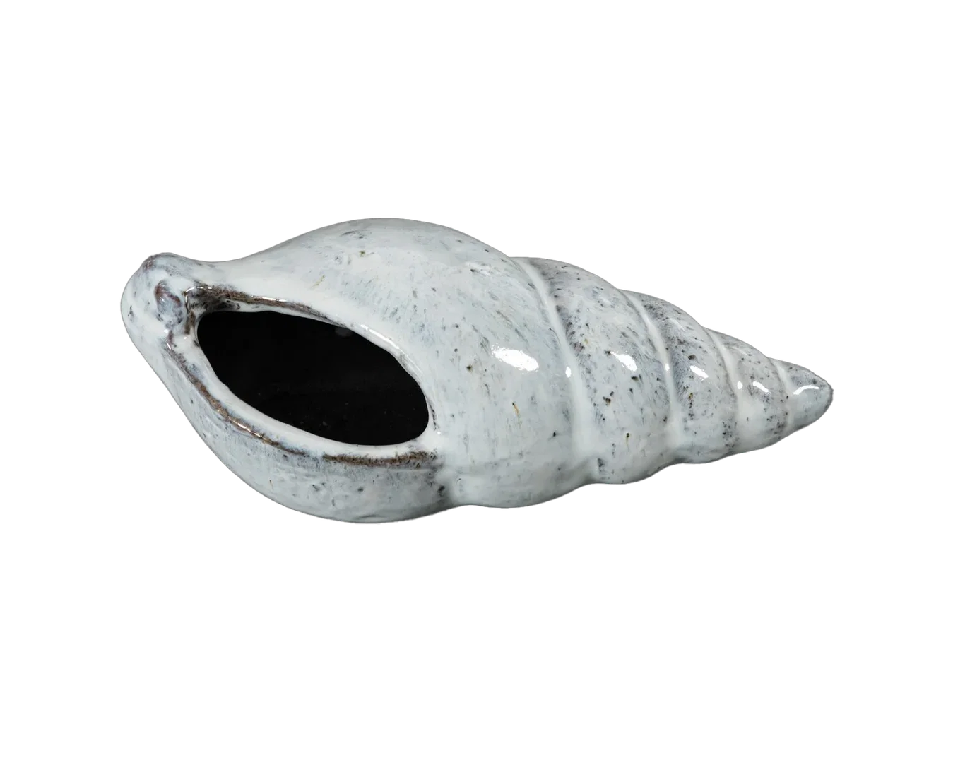 Shelby shell L22 white