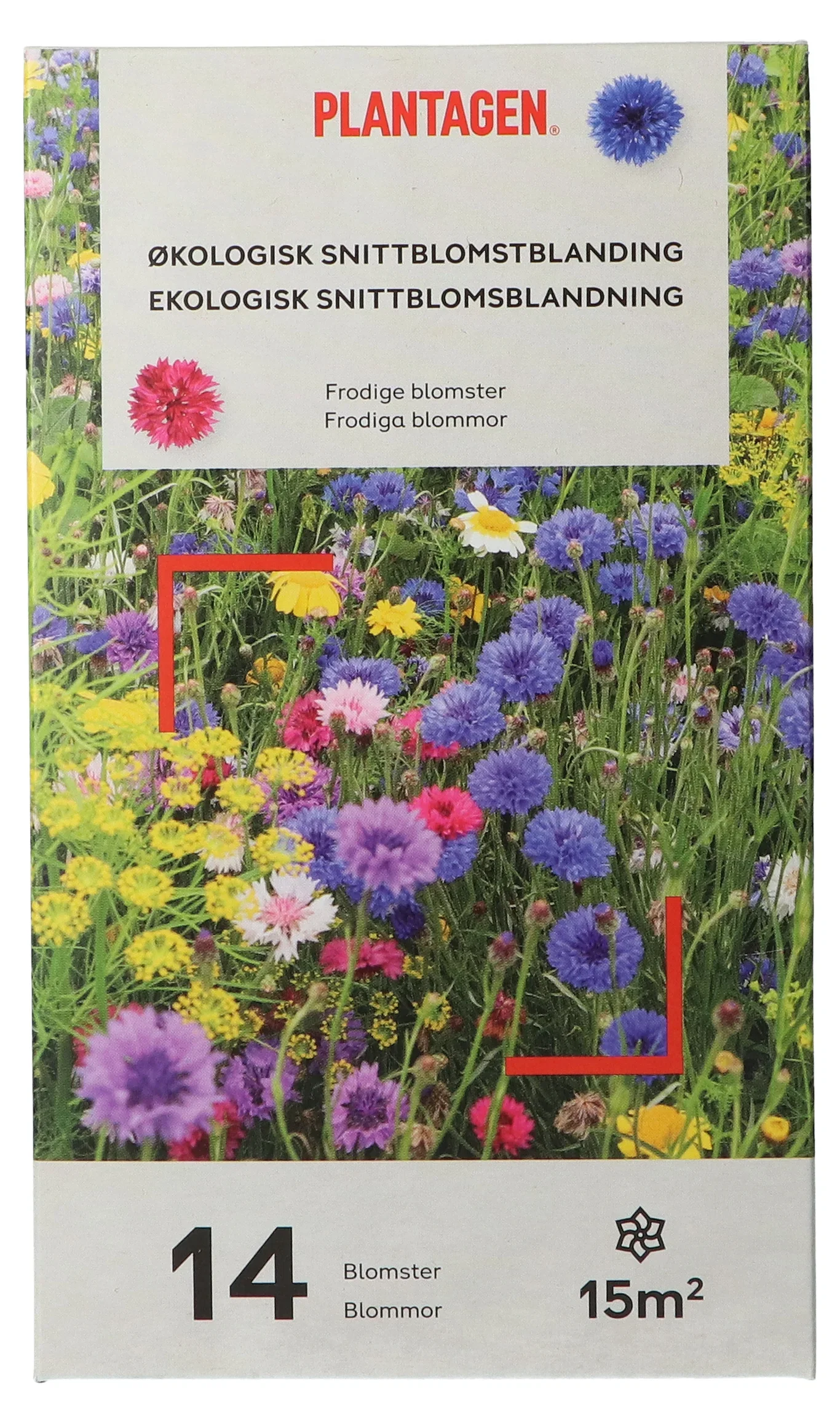 Økologisk snittblomstblanding