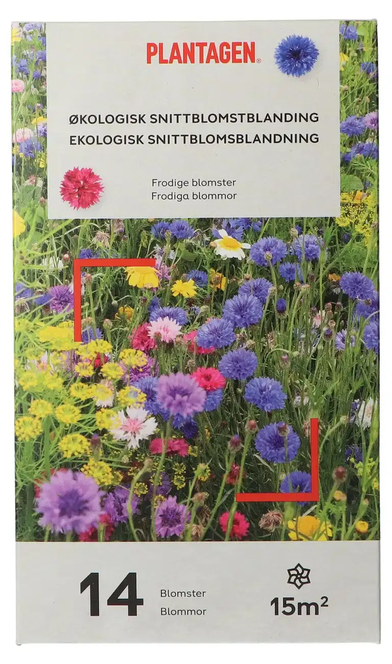 Ecological Cut Flowers Mix