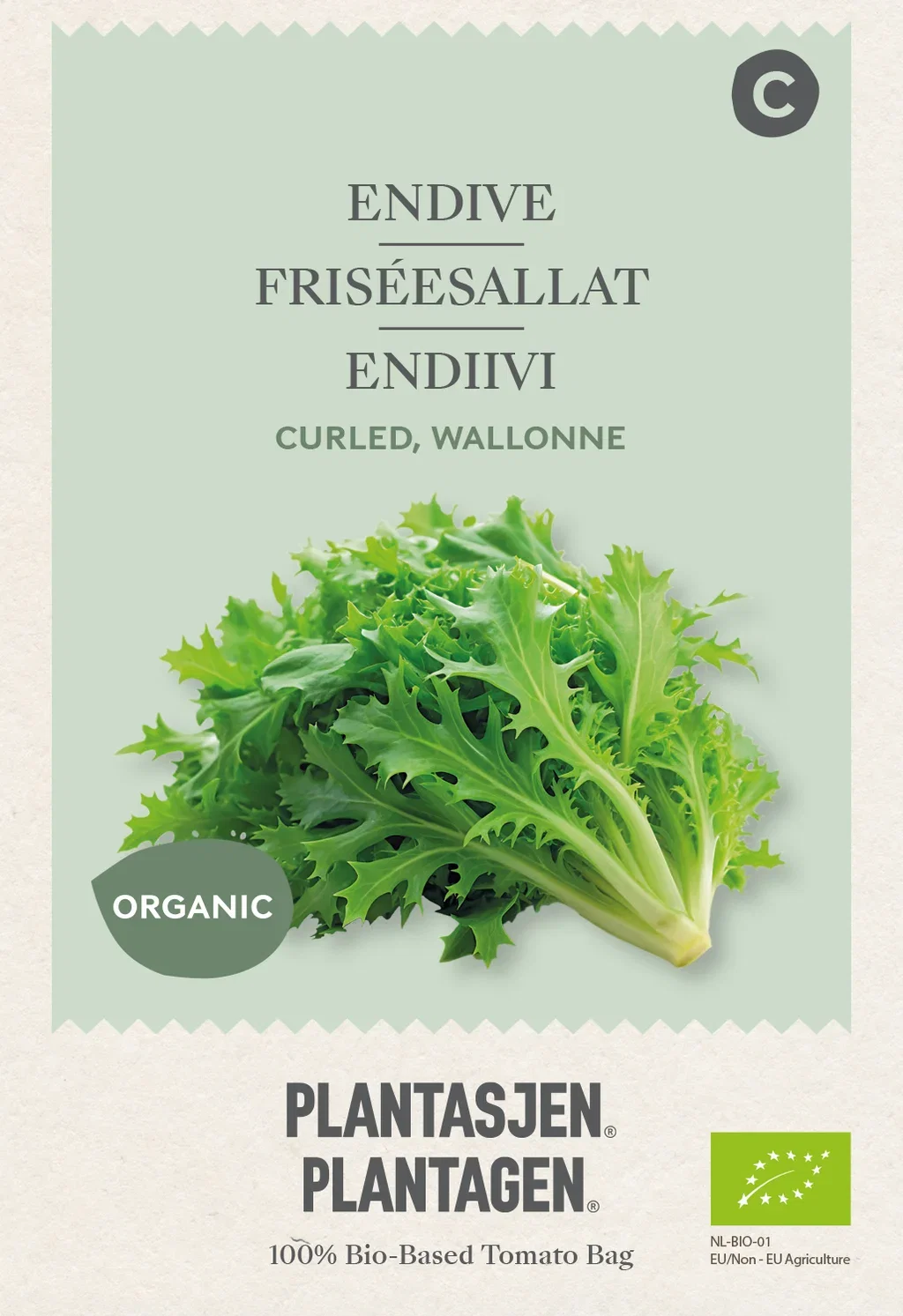 Endive Curled, Wallonne