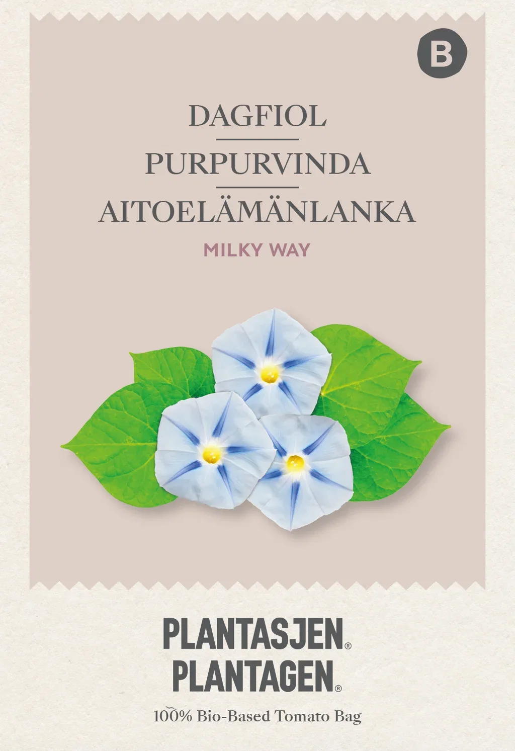 Praktvindel Morning Glory 'Milky Way'