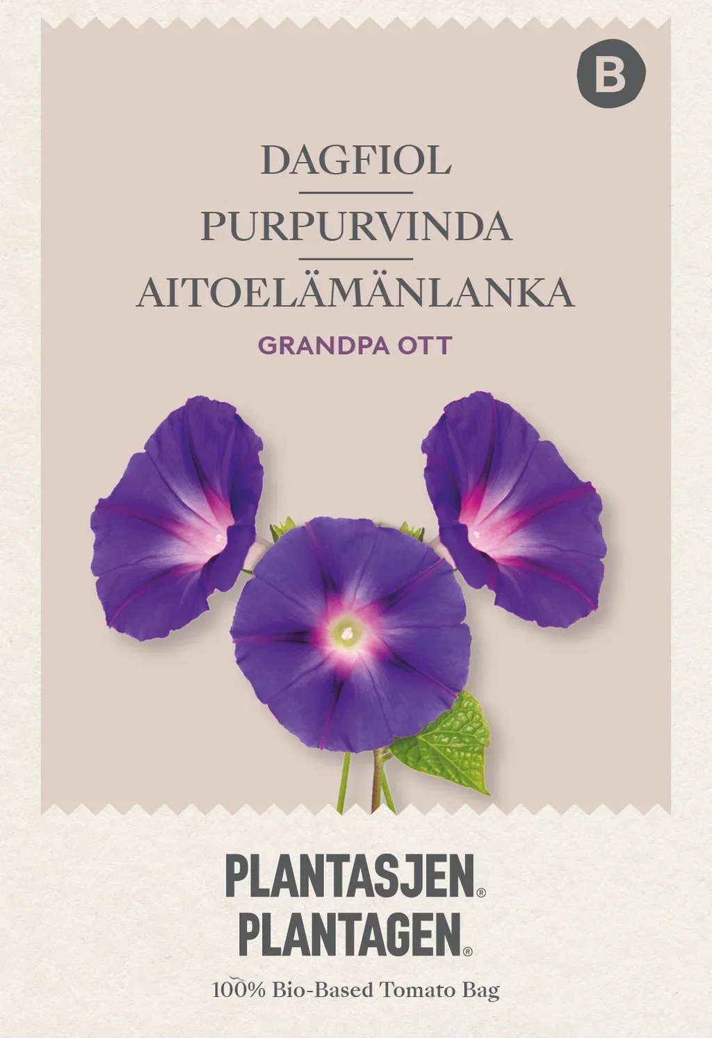 Purpurvindel 'Grandpa Ott'